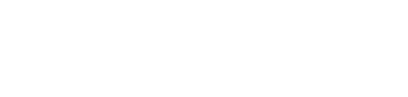 logo assifact